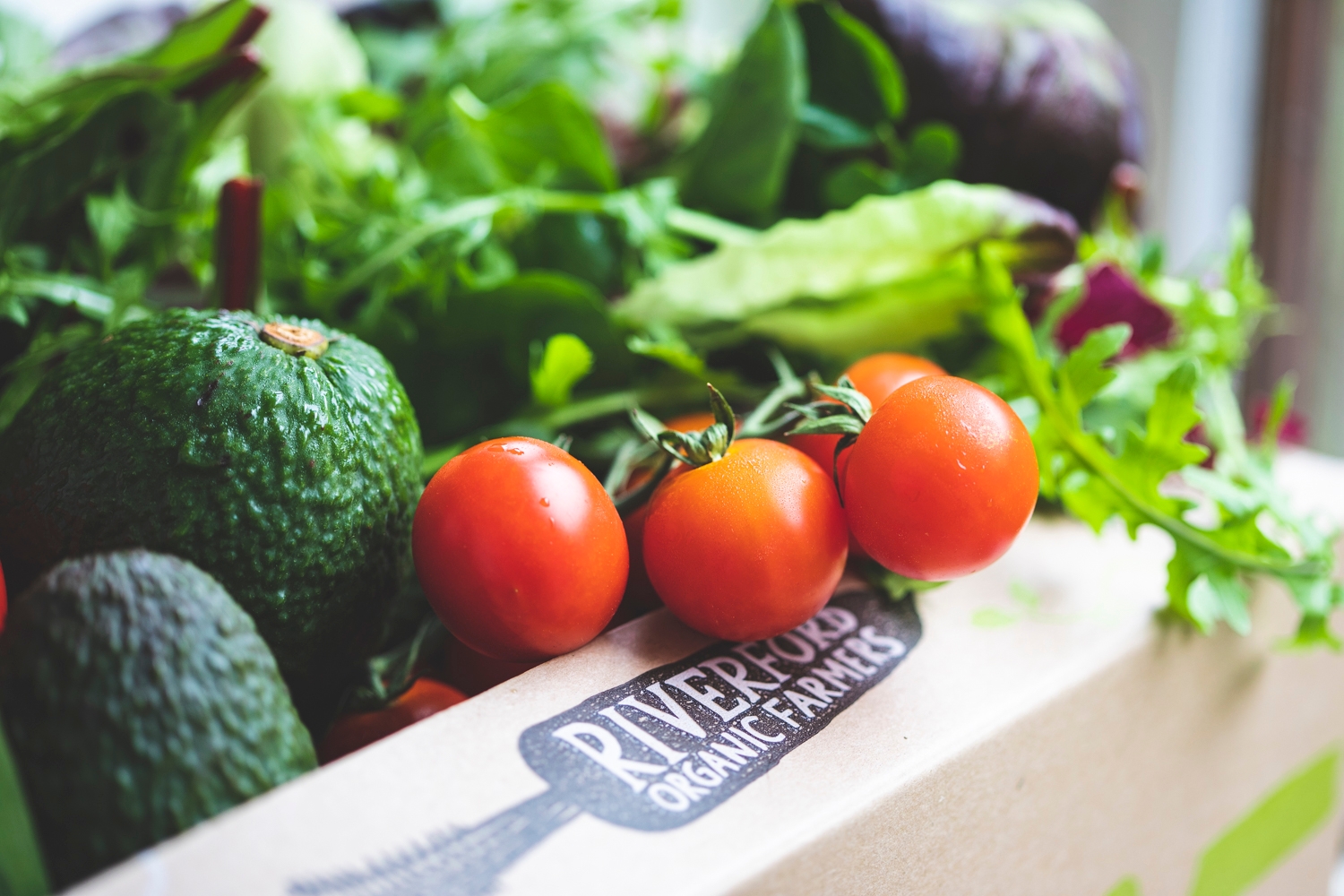 Organic salad box