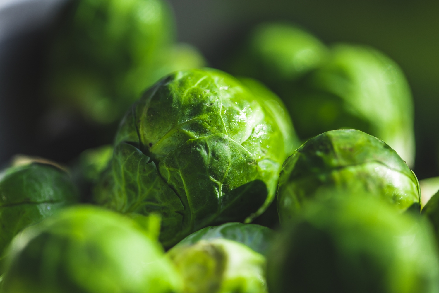 Brussels sprouts