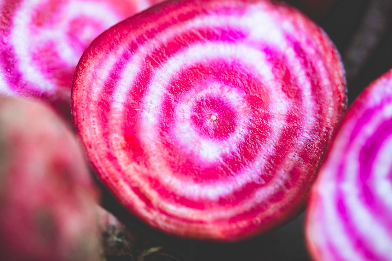 Chioggia beetroot