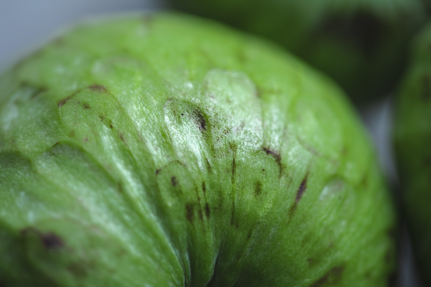 Custard apples