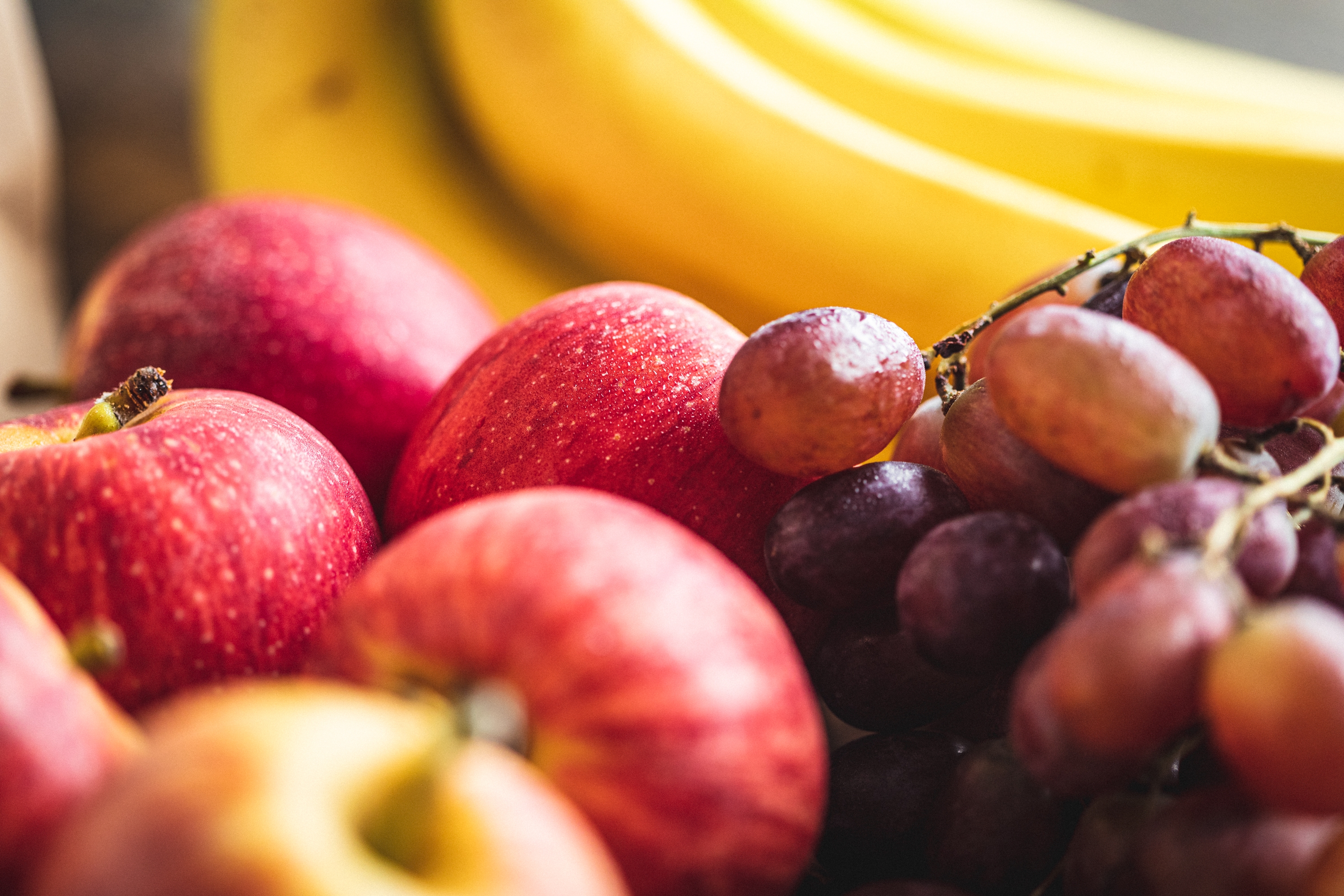 Organic fruit bag