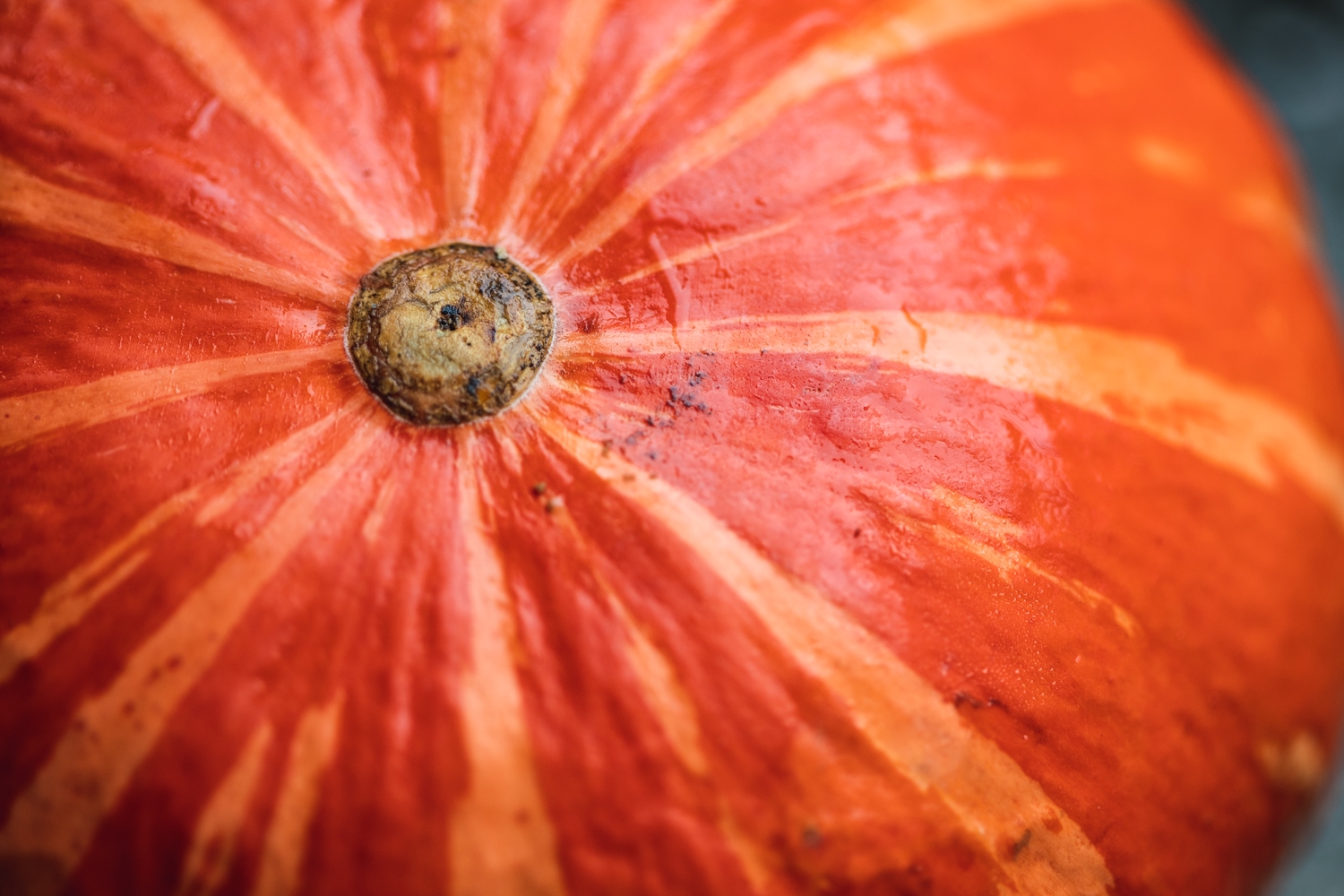Kabocha squash