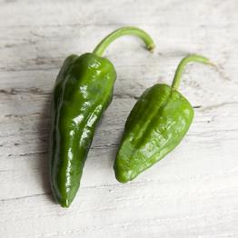 Chorizo stuffed Padrón peppers