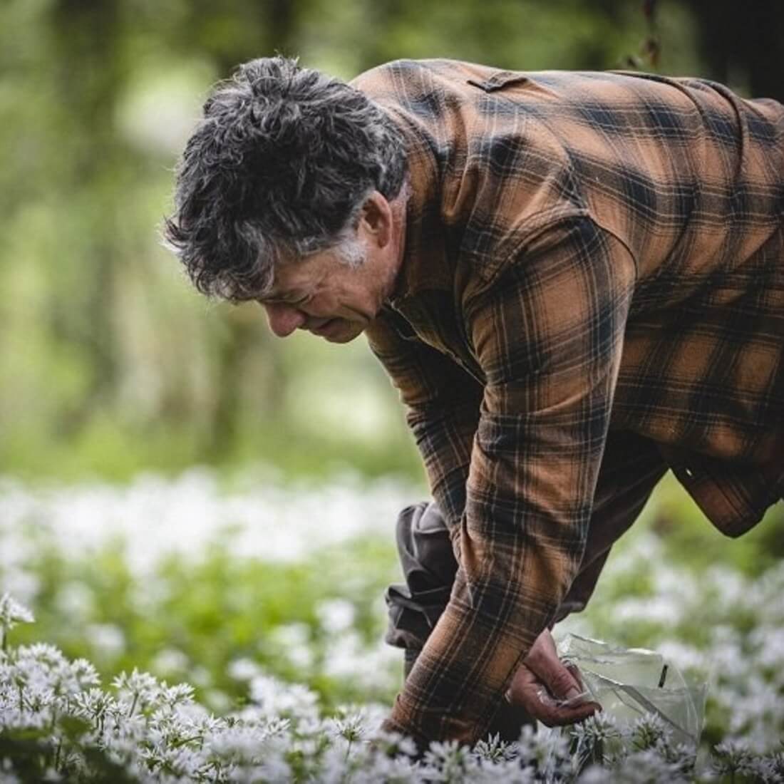 Guy Watson-Singh picking wild garlic in the woods.