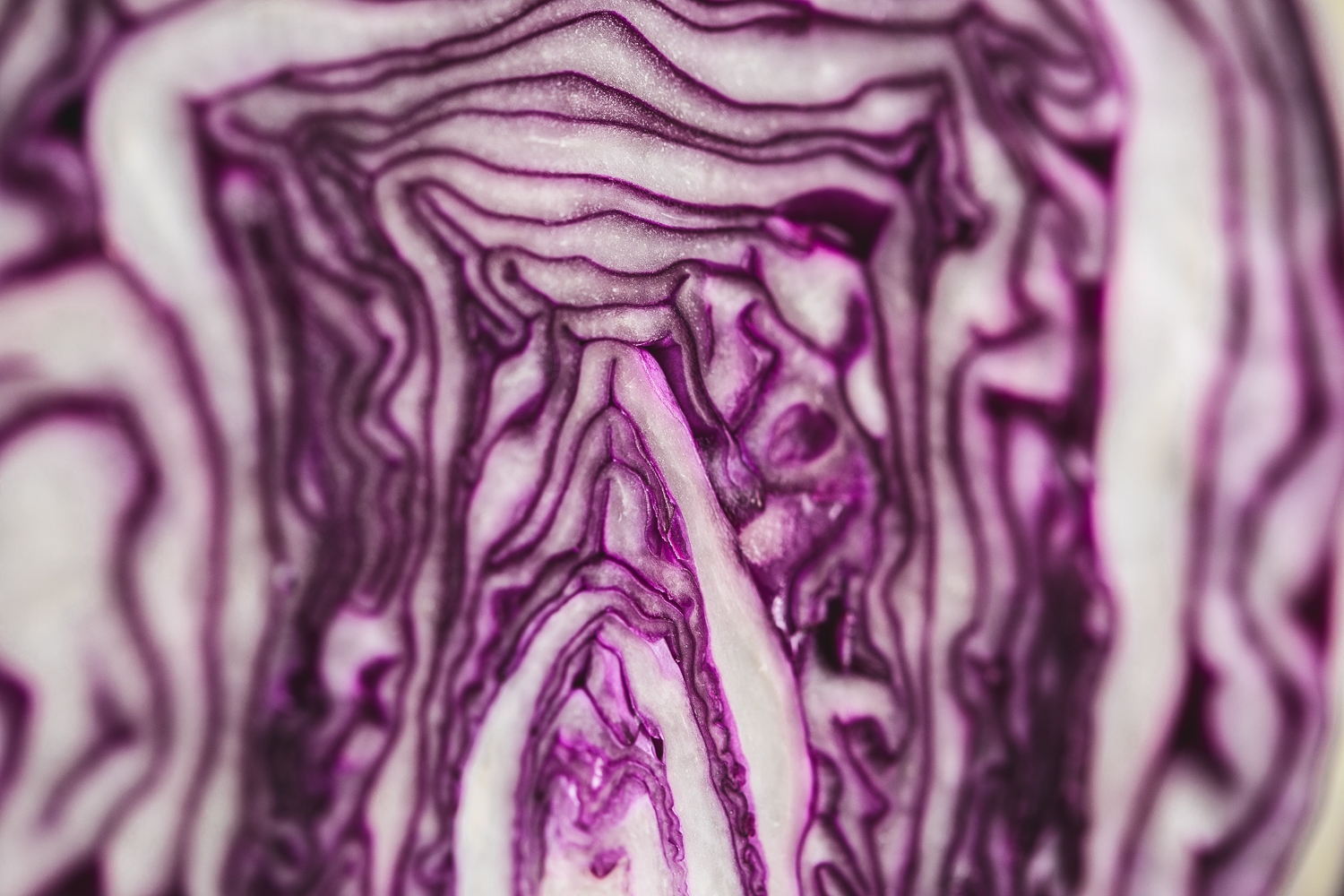 Red cabbage